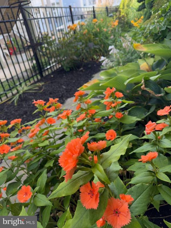 7 W ESSEX ST, Fenwick Island, DE 19944