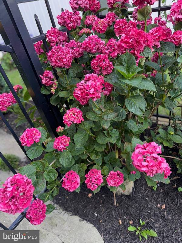 7 W ESSEX ST, Fenwick Island, DE 19944