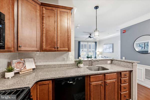 20655 HOPE SPRING TER #104, Ashburn, VA 20147