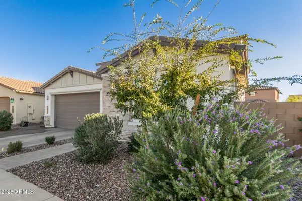 21427 E MACAW Drive, Queen Creek, AZ 85142