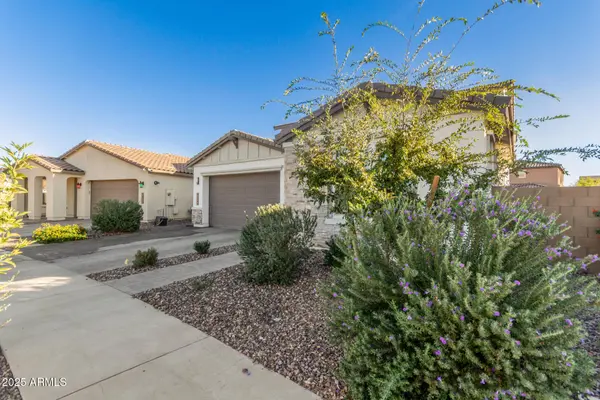 21427 E MACAW Drive, Queen Creek, AZ 85142