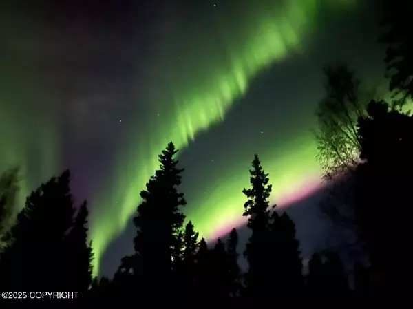 2325 Brewis BLVD, Delta Junction, AK 99737