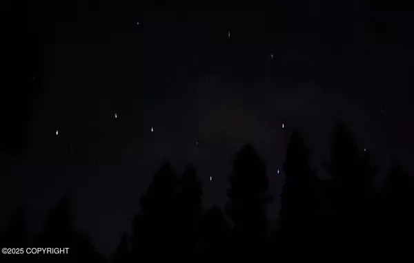 2325 Brewis BLVD, Delta Junction, AK 99737