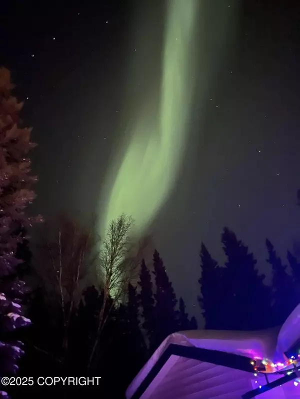 2325 Brewis BLVD, Delta Junction, AK 99737