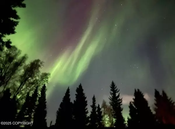 2325 Brewis BLVD, Delta Junction, AK 99737