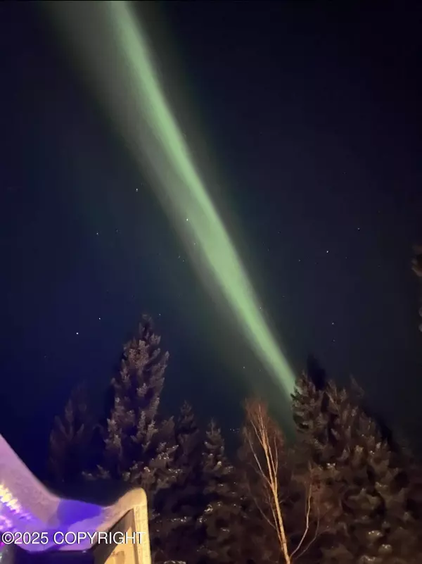 2325 Brewis BLVD, Delta Junction, AK 99737