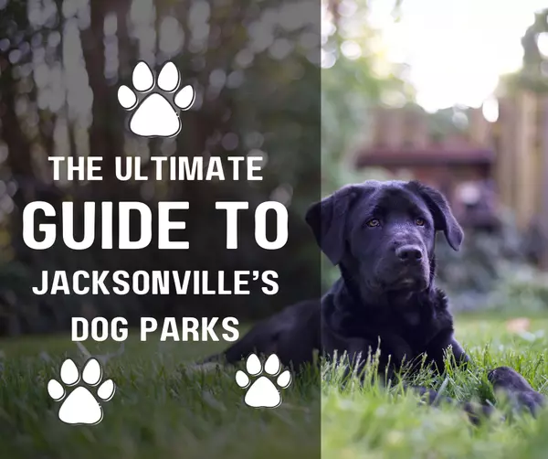 The Ultimate Guide to Jacksonville's Dog Parks & Beach Access