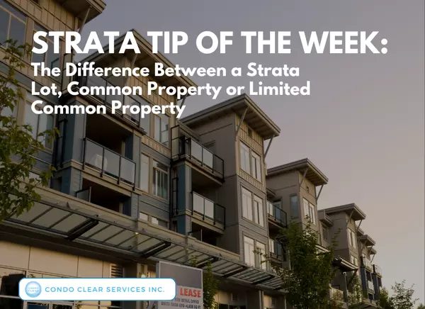Strata Tip of the Week - The Difference Between a Strata Lot, Common Property or Limited Common Property