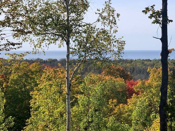 Lot 20 & Wildflower Patch Rd, Fish Creek, WI 54212
