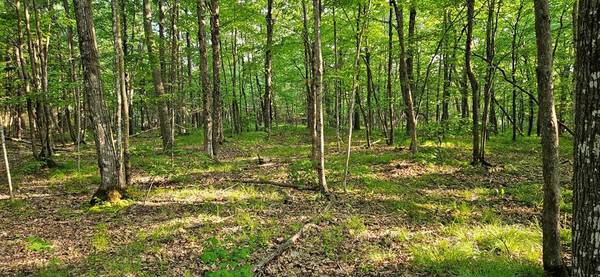 Lot 1 Lundberg Woods, Town Of Gibraltar, WI 54212