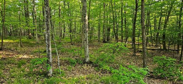 Lot 1 Lundberg Woods, Town Of Gibraltar, WI 54212