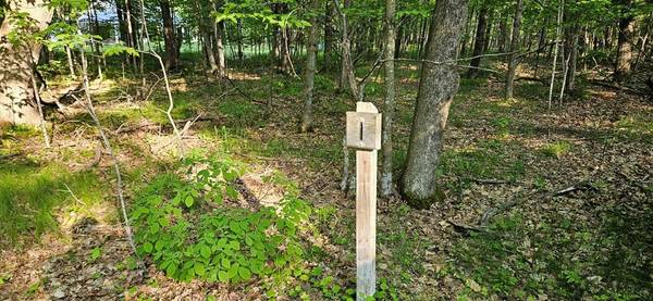 Lot 1 Lundberg Woods, Town Of Gibraltar, WI 54212