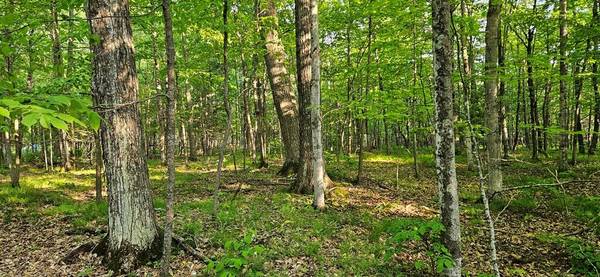Lot 1 Lundberg Woods, Town Of Gibraltar, WI 54212