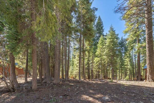 14059 Pathway Avenue, Truckee, CA 96161