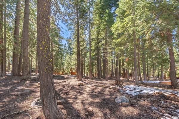 14059 Pathway Avenue, Truckee, CA 96161