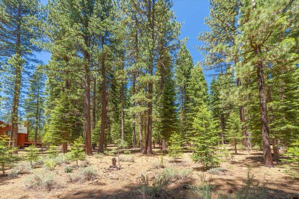 11752 Saddleback Drive, Truckee, CA 96161