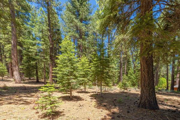11752 Saddleback Drive, Truckee, CA 96161