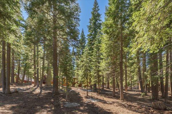 14059 Pathway Avenue, Truckee, CA 96161