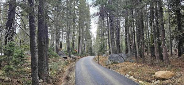 10060 Bunny Hill Road, Soda Springs, CA 95728