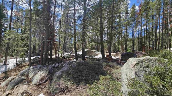 10060 Bunny Hill Road, Soda Springs, CA 95728