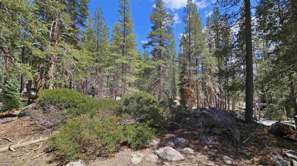 10060 Bunny Hill Road, Soda Springs, CA 95728