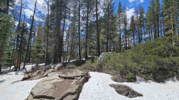 10060 Bunny Hill Road, Soda Springs, CA 95728