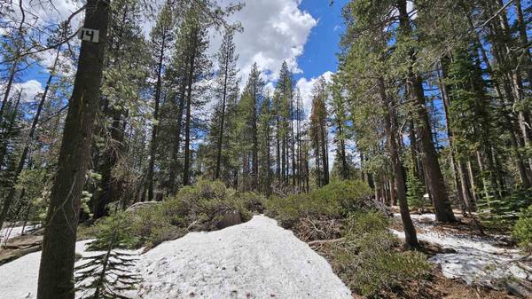 10060 Bunny Hill Road, Soda Springs, CA 95728