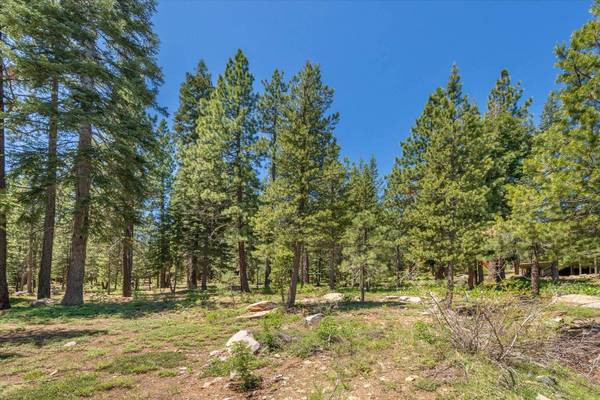 12996 Solvang Way, Truckee, CA 96161