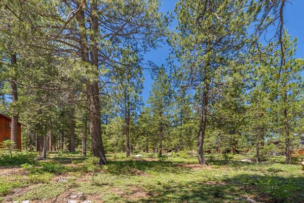 12996 Solvang Way, Truckee, CA 96161