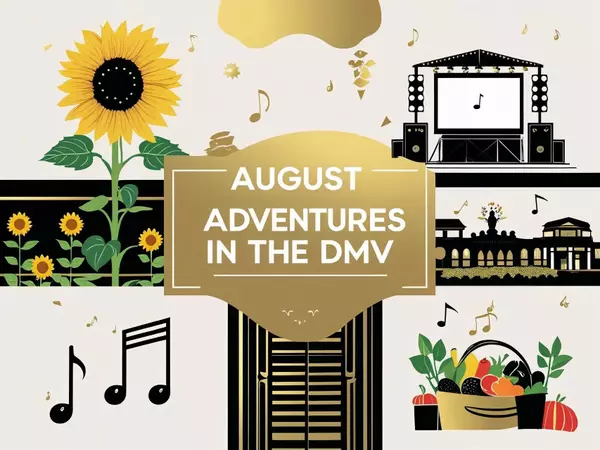  Best Things to Do in the DMV (DC, MD, VA) This August: Outdoor Events, Sunflower Fields & Free Fun