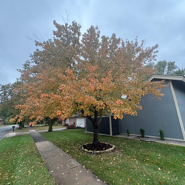 10-28
