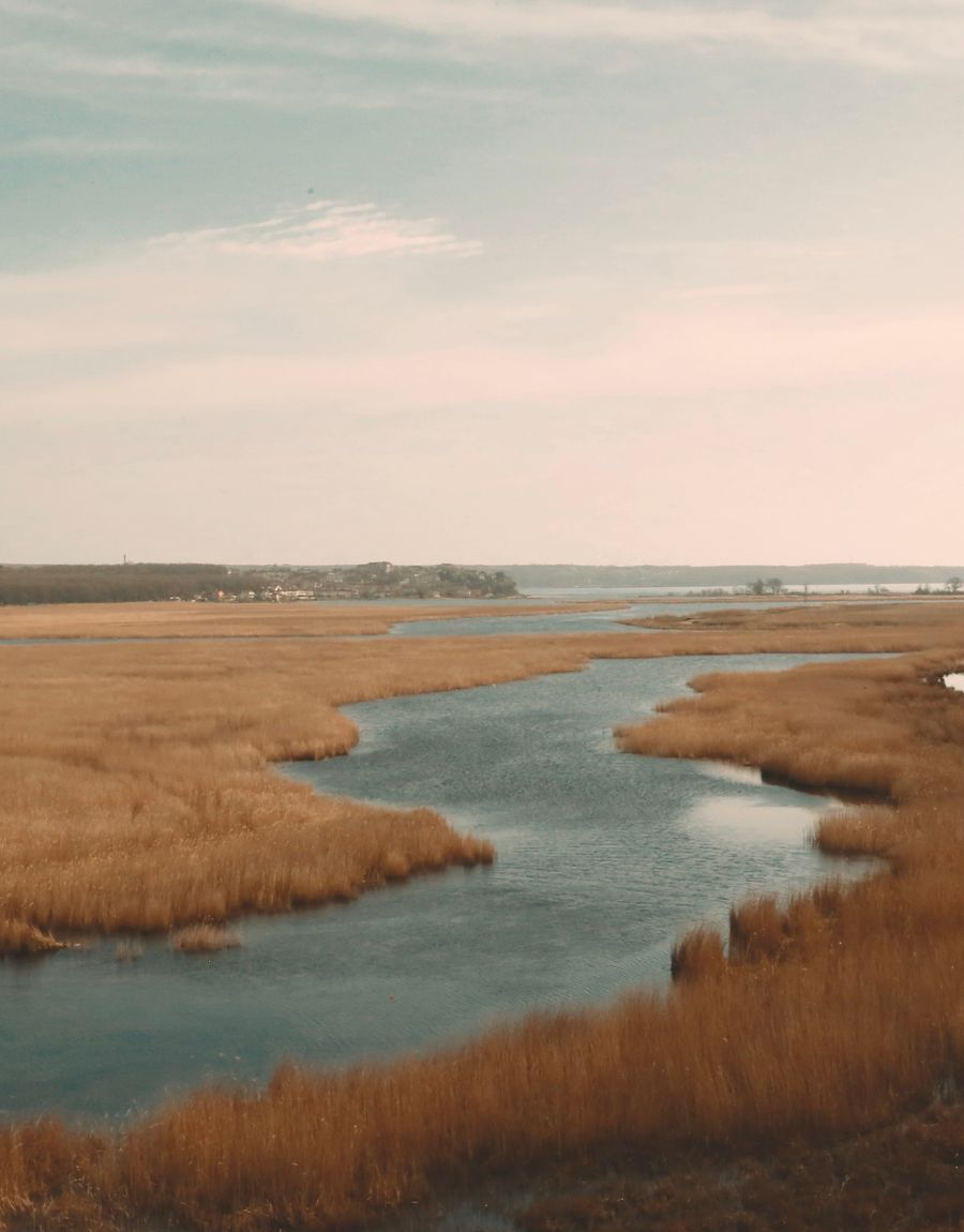A winding river flowing through green coastal marshland on a sunny day
