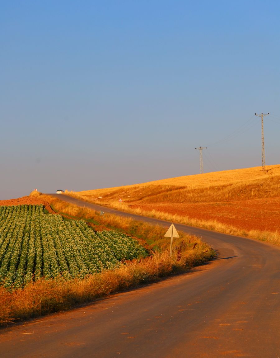 A rural road winding between green farm fields under a clear blue sky