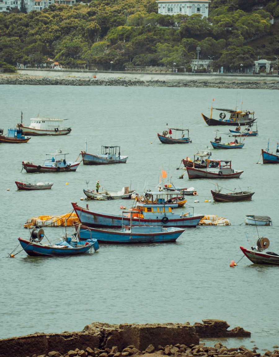Colorful fishing boats anchored in a tranquil bay backed by green hills