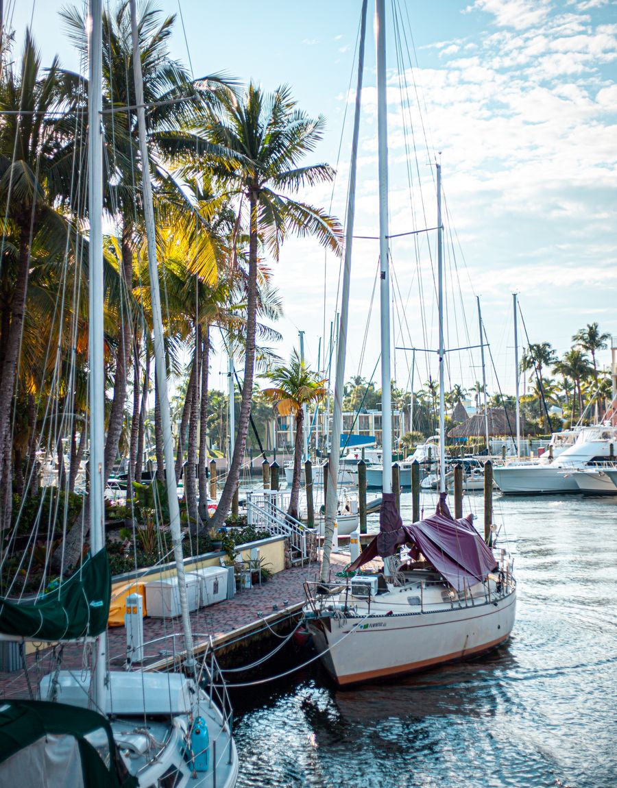 Boats moored at a calm bay marina lined with palm trees