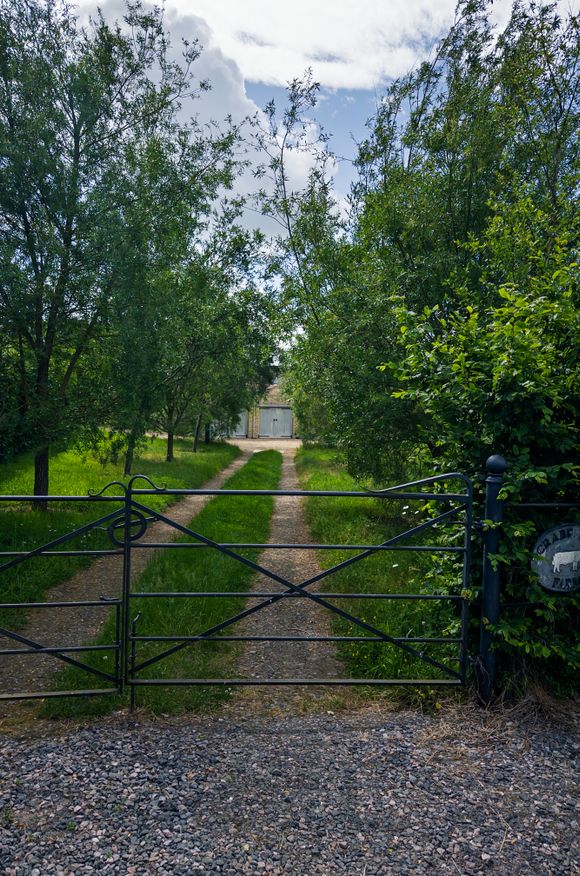 A tree-lined drive leading to a country estate