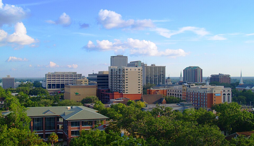 Tallahassee, Florida area landscape