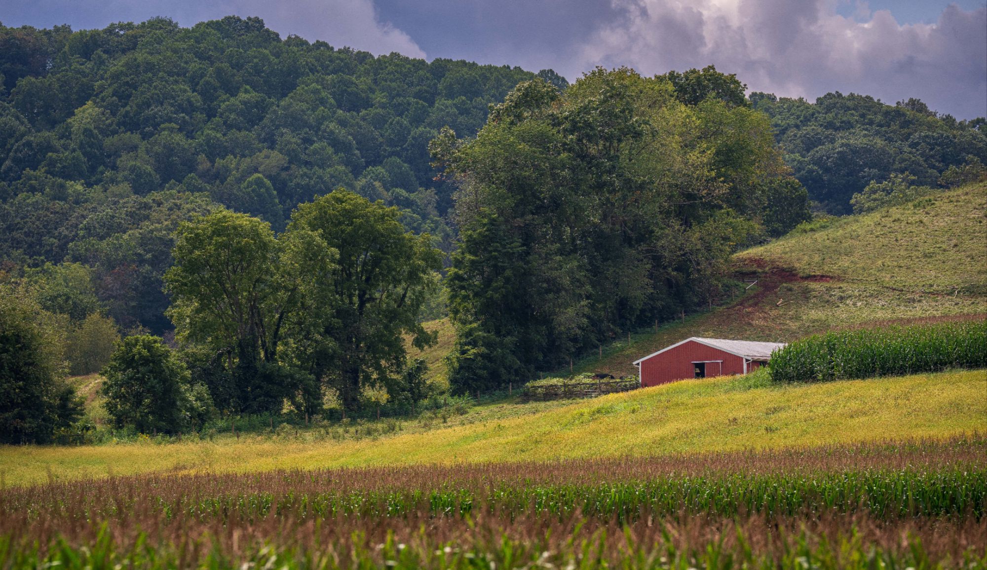 Farm and ranch properties