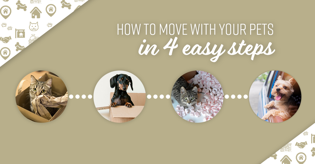 How to Move With Your Pets in 4 Easy Steps