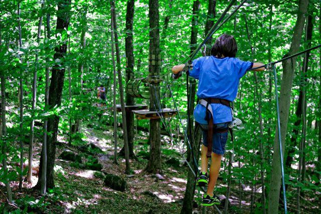 Live the experience: Tree to Tree Adventures @Tallahassee Museum