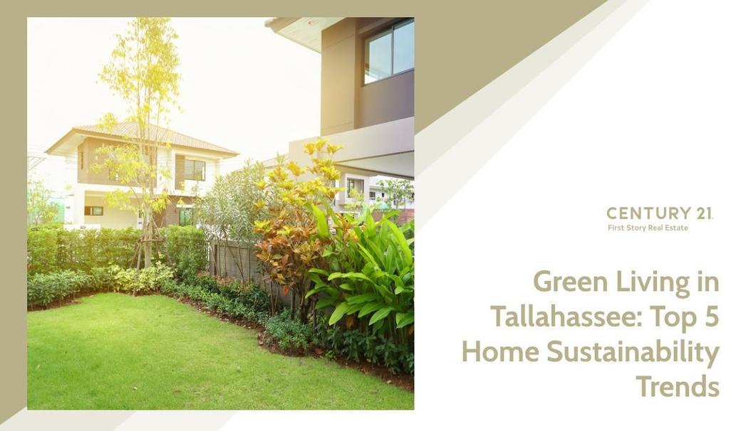 Green Living in Tallahassee: Top 5 Home Sustainability Trends