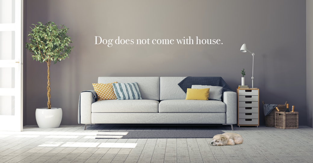 8 Ways to Make Your Home Appear More Valuable to Buyers