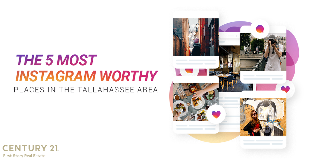 The 5 Most Instagram Worthy Places In The Tallahassee Area