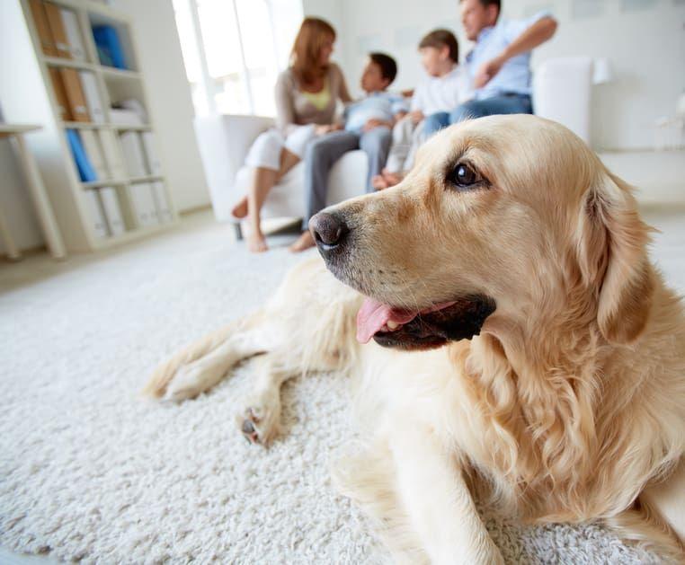 Don't Forget To Relax When Shopping For A Home