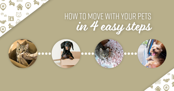How to Move With Your Pets in 4 Easy Steps,Debbie Kirkland