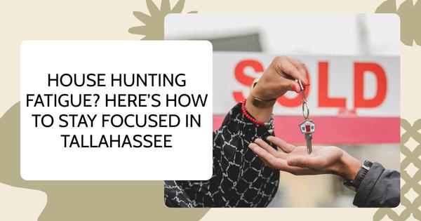House Hunting Fatigue? Here’s How to Stay Focused in Tallahassee,Debbie Kirkland