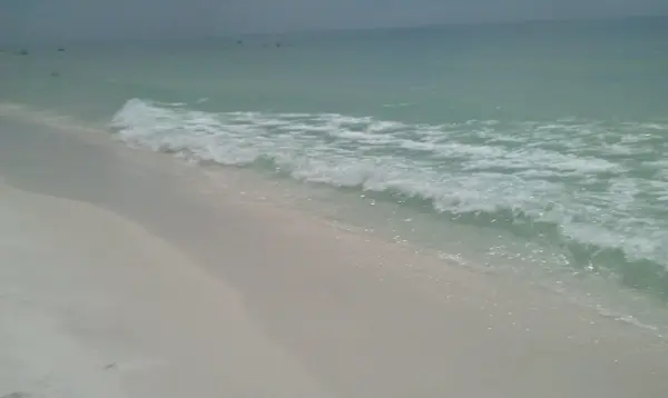 Alligator Point.... Your Beach Paradise 30 Minutes from Tallahassee, FL,Debbie Kirkland
