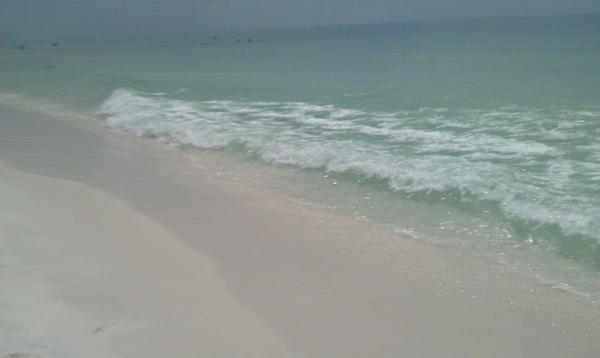 Alligator Point.... Your Beach Paradise 30 Minutes from Tallahassee, FL,Debbie Kirkland