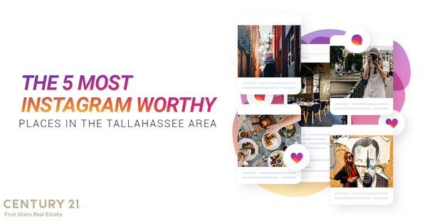 The 5 Most Instagram Worthy Places In The Tallahassee Area,Debbie Kirkland