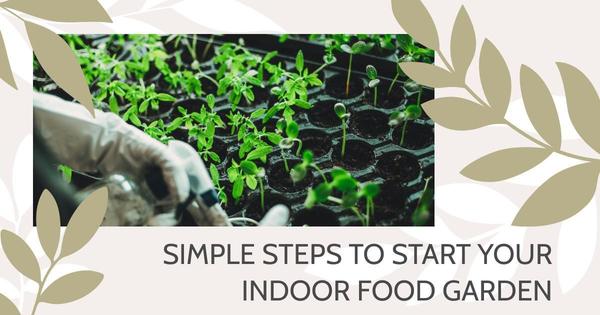 Simple Steps to Start Your Indoor Food Garden,Debbie Kirkland